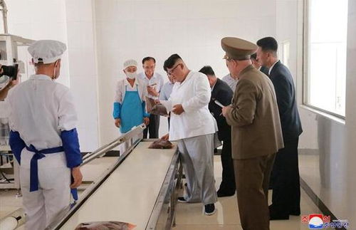 金正恩視察朝軍方食品加工廠納豆生產線，稱贊其健康價值